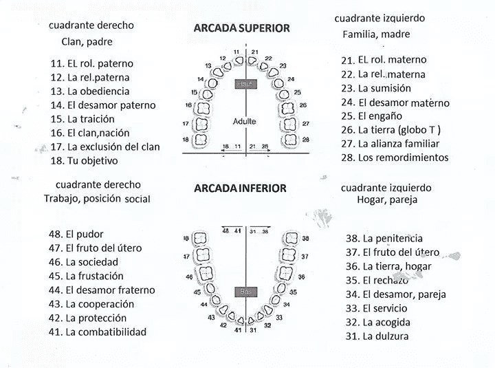 Cada dente individualmente