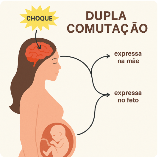 Introdução à ideia de “Dupla Comutação” Mãe-Bebé