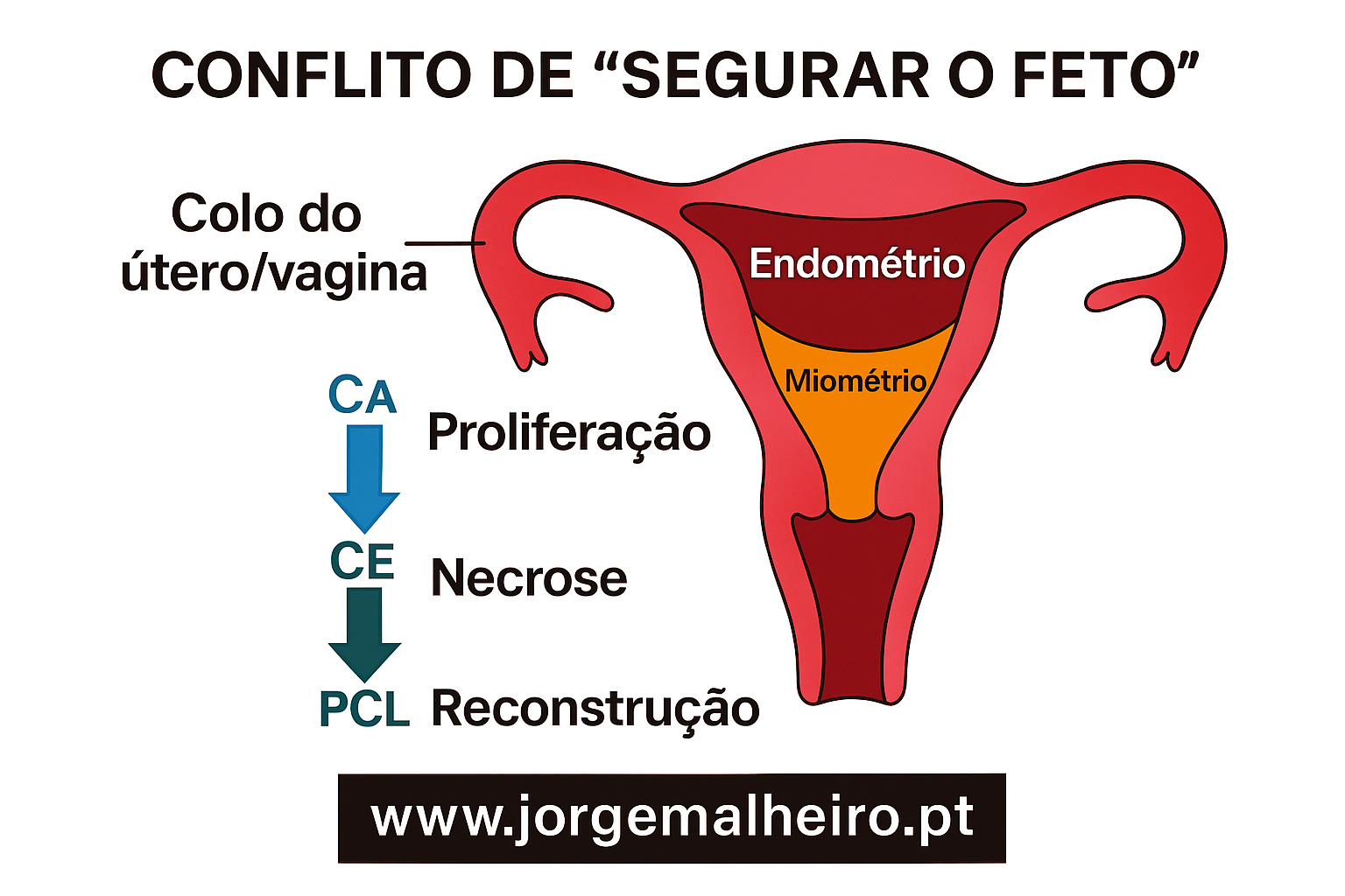 Conflito de “segurar o feto” (medo da perda, parto prematuro).