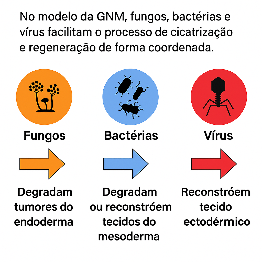 O PAPEL DOS MICRORGANISMOS NA FASE DE CURA