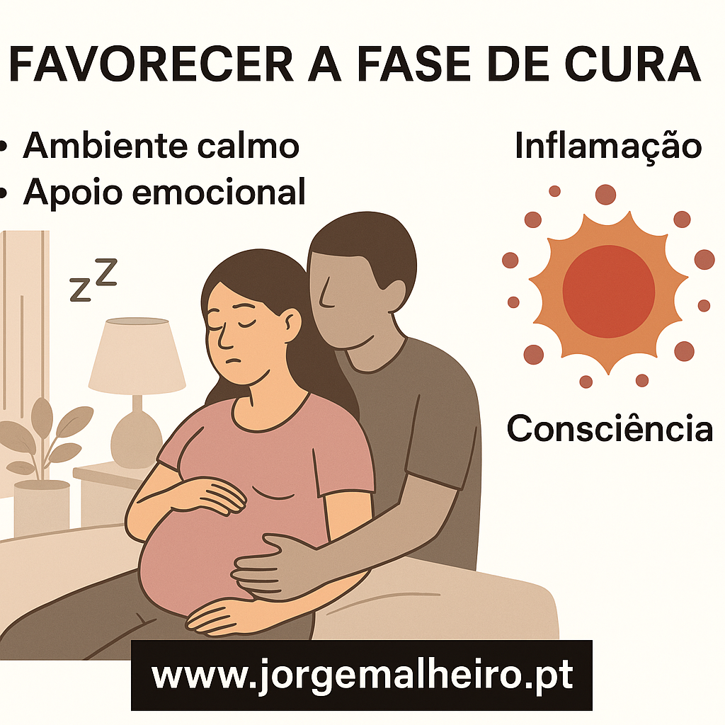 Como favorecer a fase de cura (ambiente calmo, apoio, consciência)